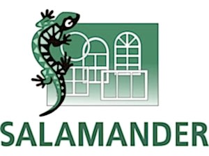 Оконные системы из профиля Salamander